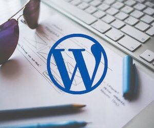 Leer in de online cursus WordPress alles over het maken van een eigen website in dit CMS