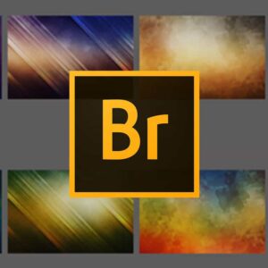 Leer alles over Adobe Bridge in deze Online Cursus Bridge CC