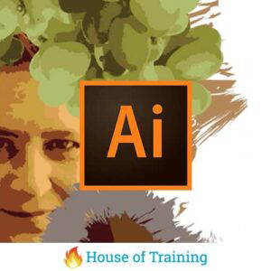Maak kennis met Illustrator in deze beginnerscursus Adobe Illustrator