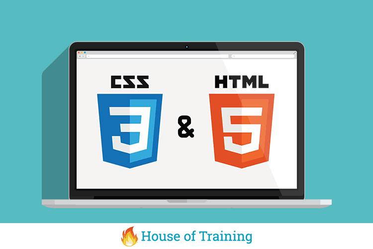 Leer in de online cursus HTML en CSS hoe je zelf een website bouwt en vormgeeft