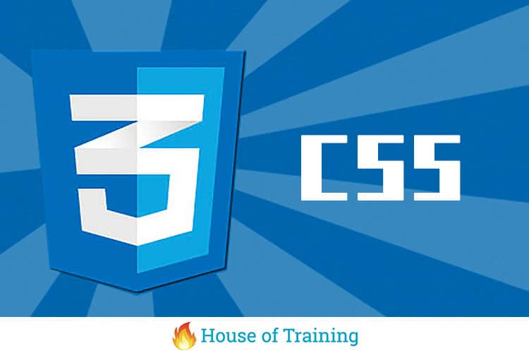 Leer meer over webdesign in deze online cursus website vormgeving met CSS