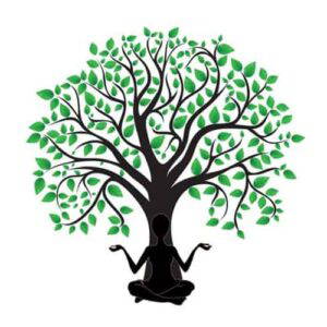 Leer ontspannen en mediteren in deze online cursus mindfulness