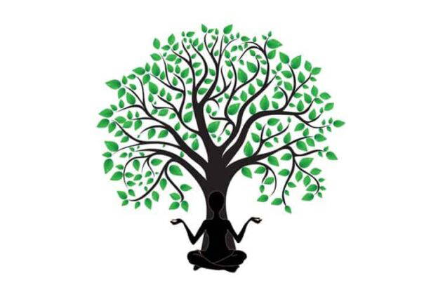 Leer ontspannen en mediteren in deze online cursus mindfulness