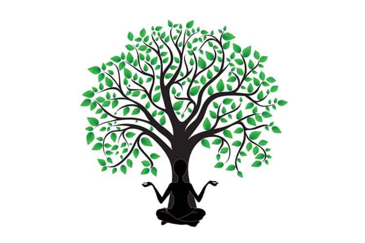 Leer ontspannen en mediteren in deze online cursus mindfulness