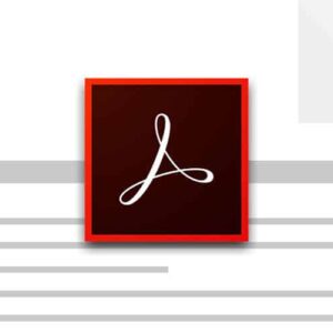 Leer in deze online cursus Acrobat Pro alles over het werken met PDF's