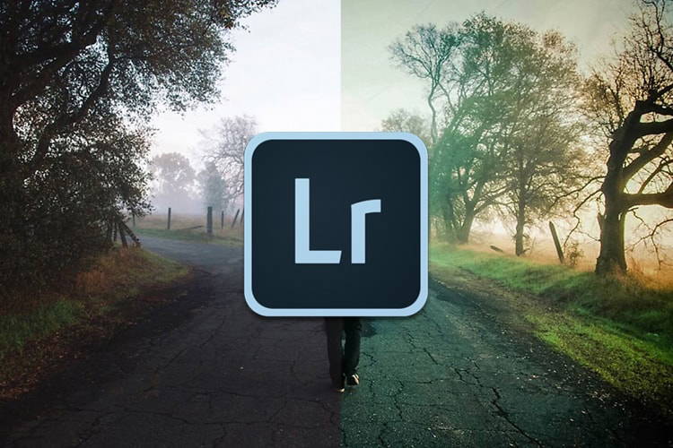 Leer in deze cursus Lightroom CC alles over het bewerken en organiseren van foto's.
