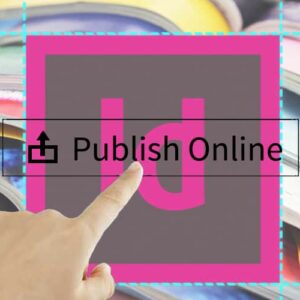 Leer alles over Publish Online in deze uitgebreide cursus