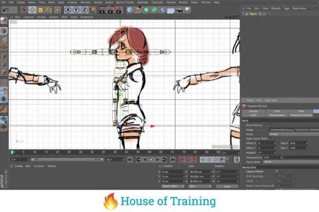 Leer een 3D anime karakter modelleren in Cinema 4D