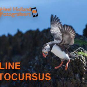 Leer in deze online fotocursus alles over fotografie