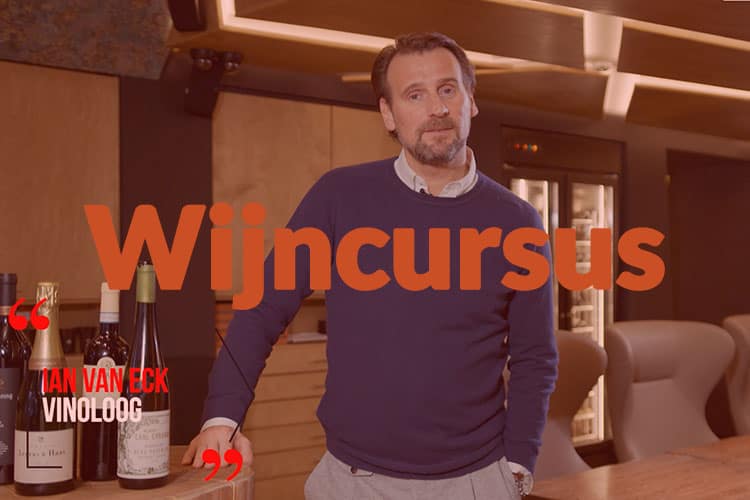 Leer alles over wijn in deze online wijncursus