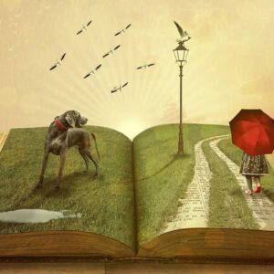 Storytelling in je presentatie