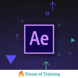 Leer Animated Infographics maken met After Effects in deze cursus