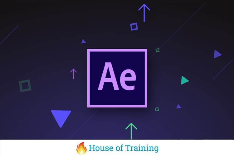 Leer Animated Infographics maken met After Effects in deze cursus