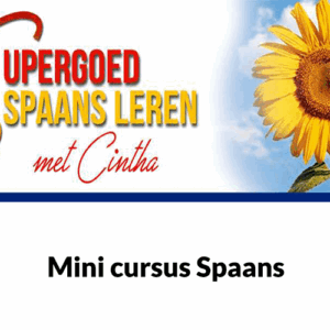 Spaans Leren - Taalcursus voor Beginners