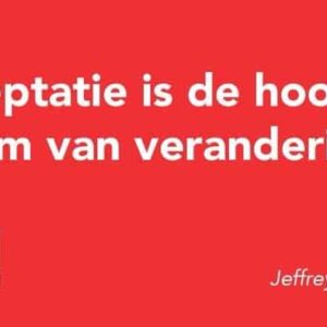 De kracht van acceptatie