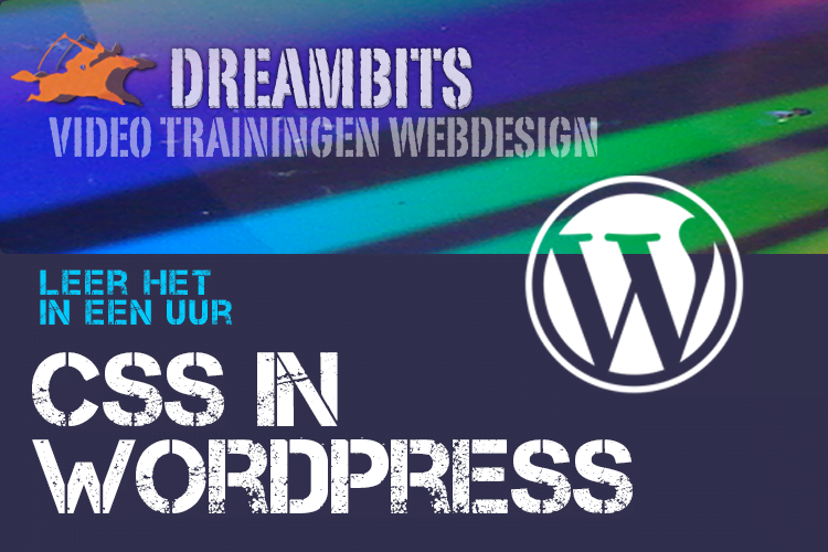 Leer hoe je CSS kan gebruiken om je WordPress website te stijlen.