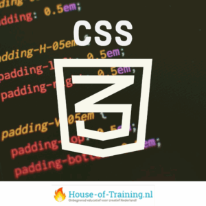 Leer over webdesign met CSS in deze basiscursus