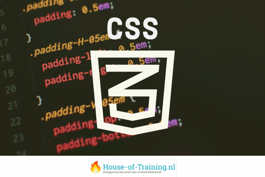 Leer over webdesign met CSS in deze basiscursus