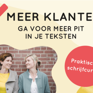Leer in deze cursus meer klanten te krijgen door meer pit in je teksten