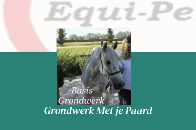 Afbeelding online cursus Grondwerk met je paard op Soofos