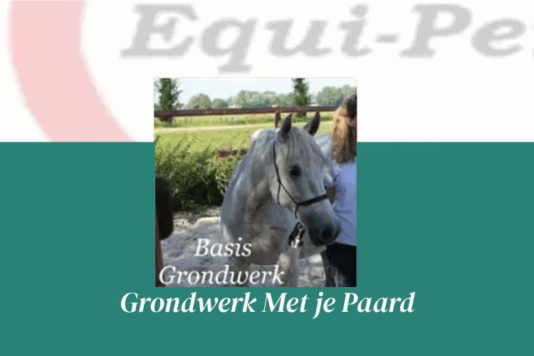 Afbeelding online cursus Grondwerk met je paard op Soofos