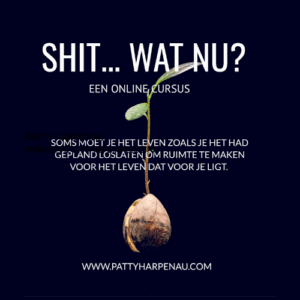 Shit wat Nu? Een cursus in nieuwe mogelijkheden