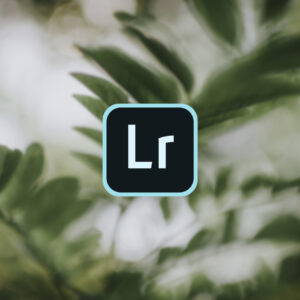 Online Lightroom Cursus van ItsJoey op Soofos