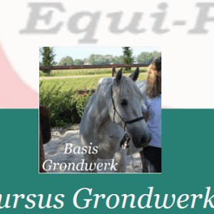 Grondwerk met je Paard (Freestyle)