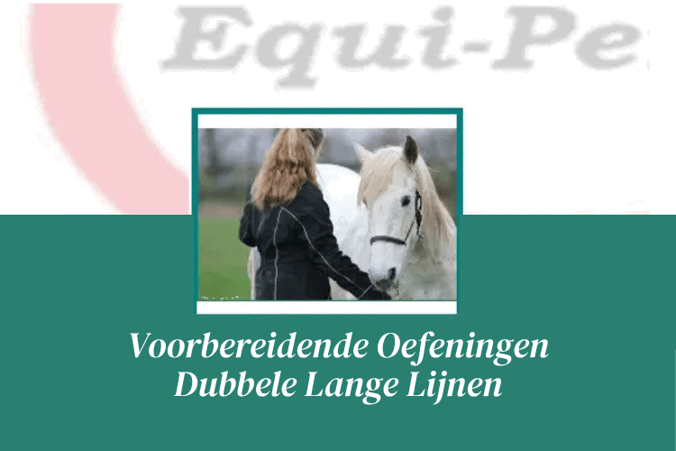 Afbeelding bij cursus Dubbele Lange Lijnen