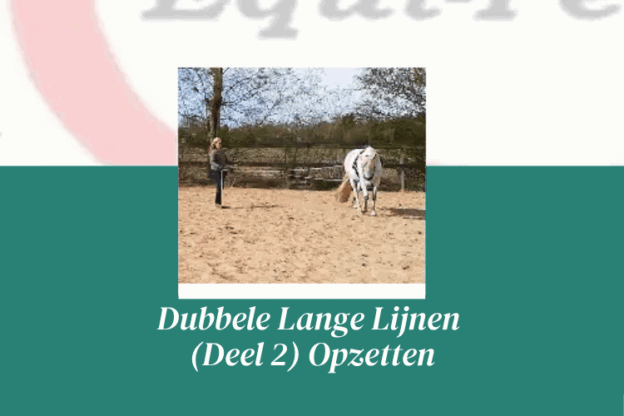 Afbeelding bij online cursus dubbele lange lijnen opzetten op Soofos