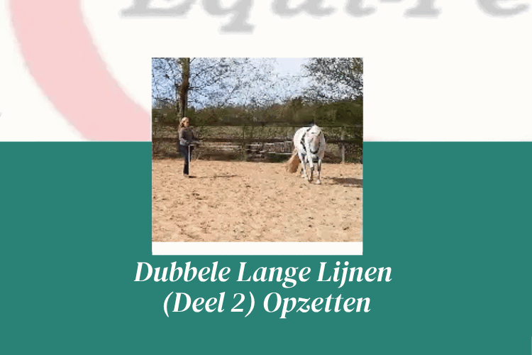 Afbeelding bij online cursus dubbele lange lijnen opzetten op Soofos