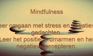 Mindfulness Coaching