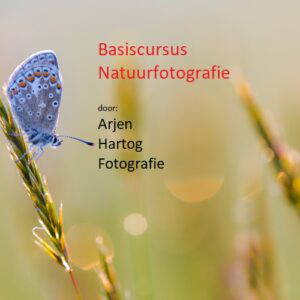 Online basiscursus natuurfotografie