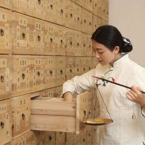 Online cursus traditionele chinese geneeskunde