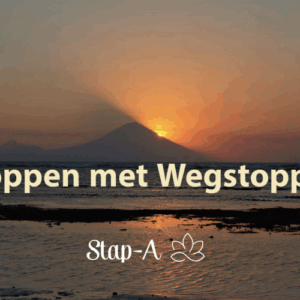 In deze cursus omgaan met emoties - stoppen met wegstoppen leer je hoe je om kunt gaan met je emoties