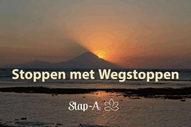 In deze cursus omgaan met emoties - stoppen met wegstoppen leer je hoe je om kunt gaan met je emoties