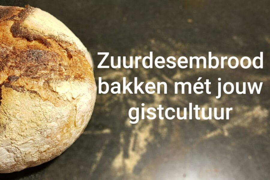 In de cursus Zuurdesem broden bakken leer je alles over het bakken van zuurdesembrood met je eigen gistcultuur