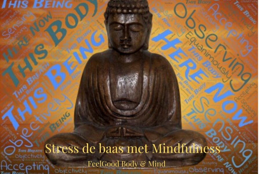 In deze cursus word je de stress de baas met mindfulness