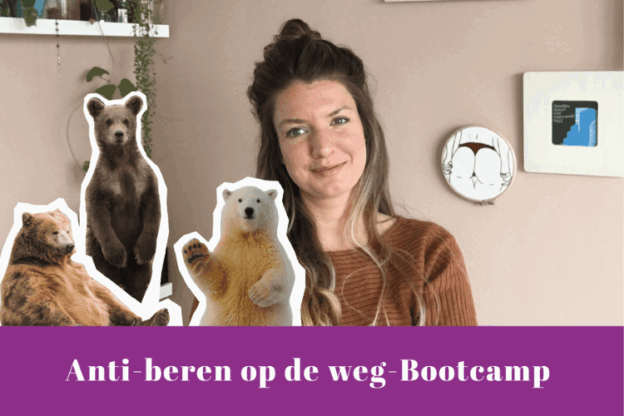 Werk jouw toffe idee uit en laat je niet kisten door de beren op de weg die je ziet