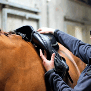 Past mijn zadel eigenlijk wel bij mijn paard?