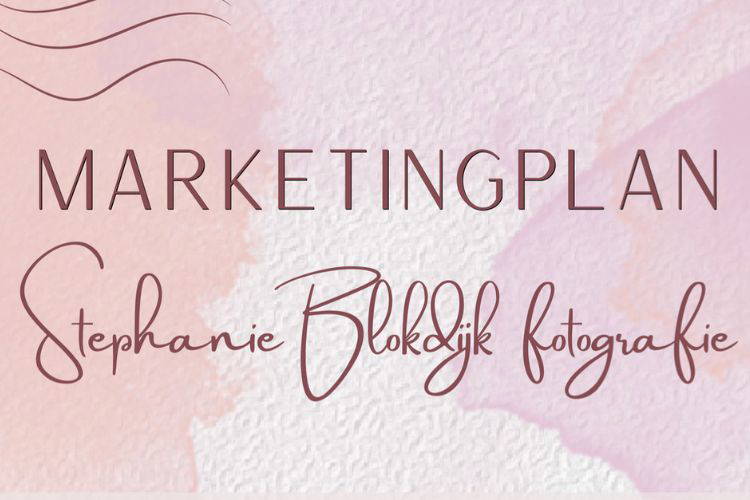 marketingplan-eindopdracht