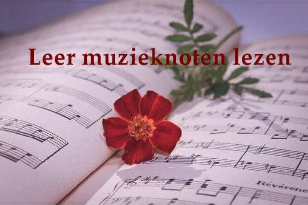 In deze online cursus leer je bladmuziek, of noten lezen