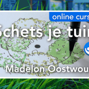 Cursusafbeelding voor online cursus Schets je tuin op Soofos
