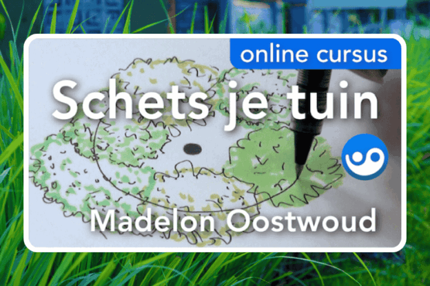 Cursusafbeelding voor online cursus Schets je tuin op Soofos