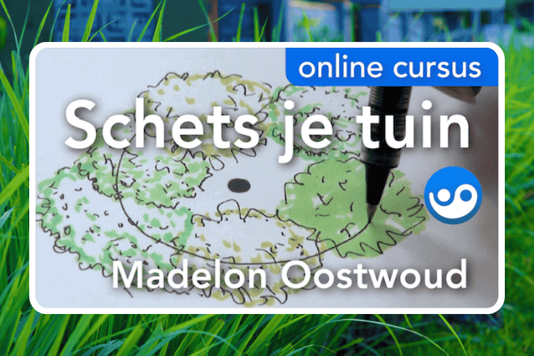 Cursusafbeelding voor online cursus Schets je tuin op Soofos