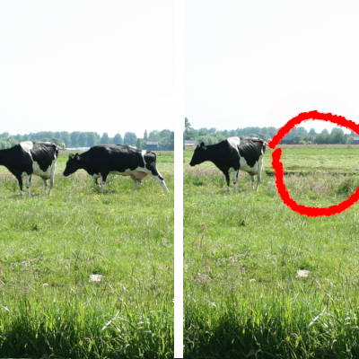 Vlekjes wegwerken, zowel grote als kleine