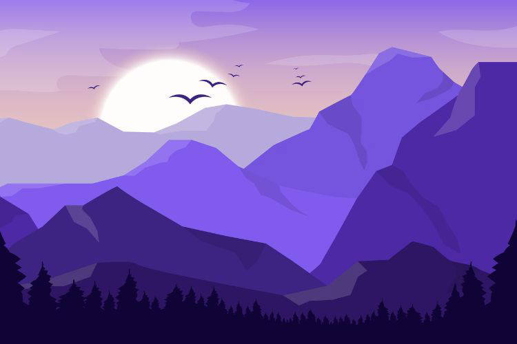 In het allround dtp traject op Soofos leer je hoe je vectorillustraties in Adobe Illustrator kunt maken