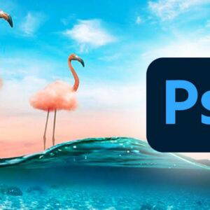Snel op weg met Adobe Photoshop