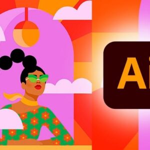 Snel op weg met Adobe Illustrator (2022)
