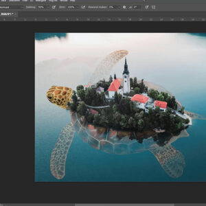 In deze cursus Photoshop voor beginners leer je de basis van het programma Photoshop. Alles wat je nodig hebt om snel aan de slag te kunnen, komt aan bod.